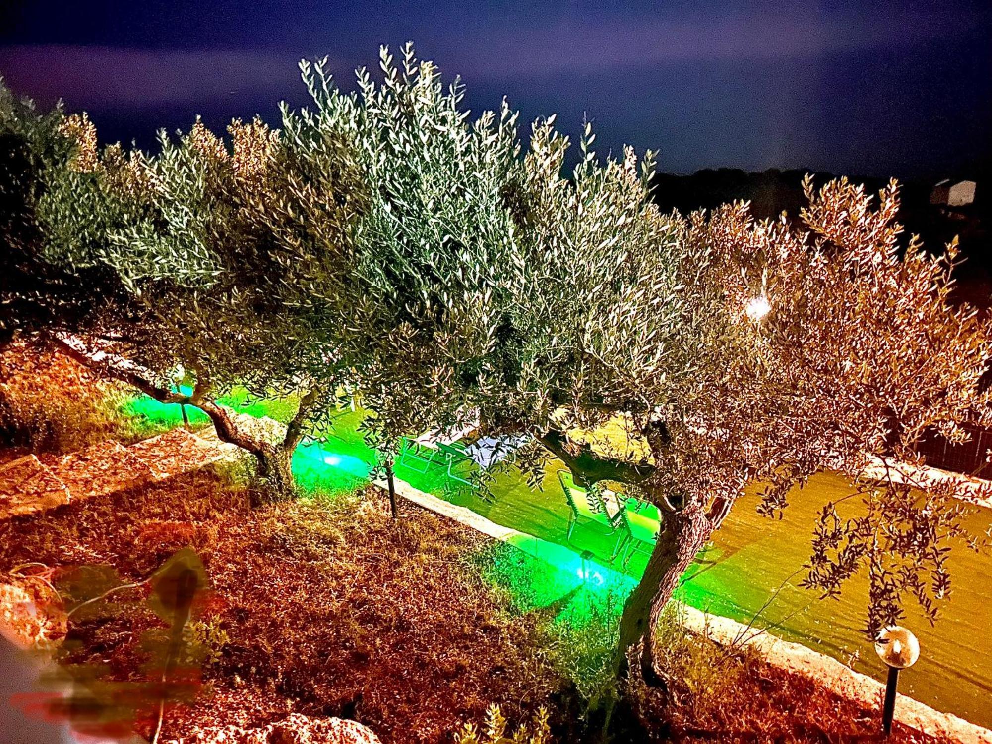 La Collina Sul Mare Bed & Breakfast Palma di Montechiaro Eksteriør bilde